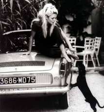 080425-bardot-floride-3