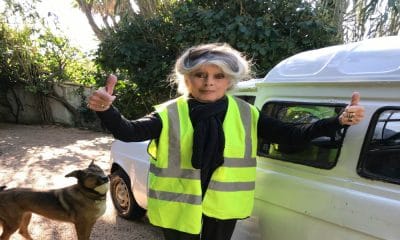 Brigitte Bardot Yellow Vest
